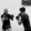 Mixed Martial Arts