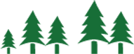 Cluster av pinjeträd