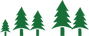 Cluster of Pine Trees