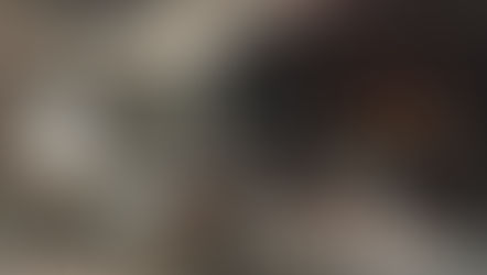 Proyecto - Hotel en Andorra