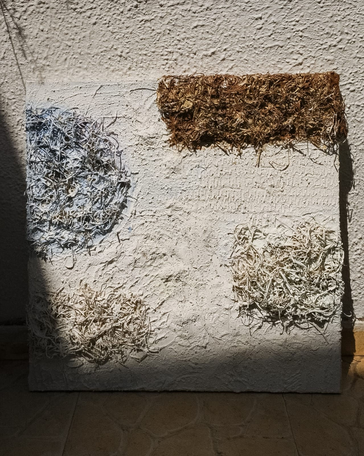 Whispering Walls | 24" × 24"