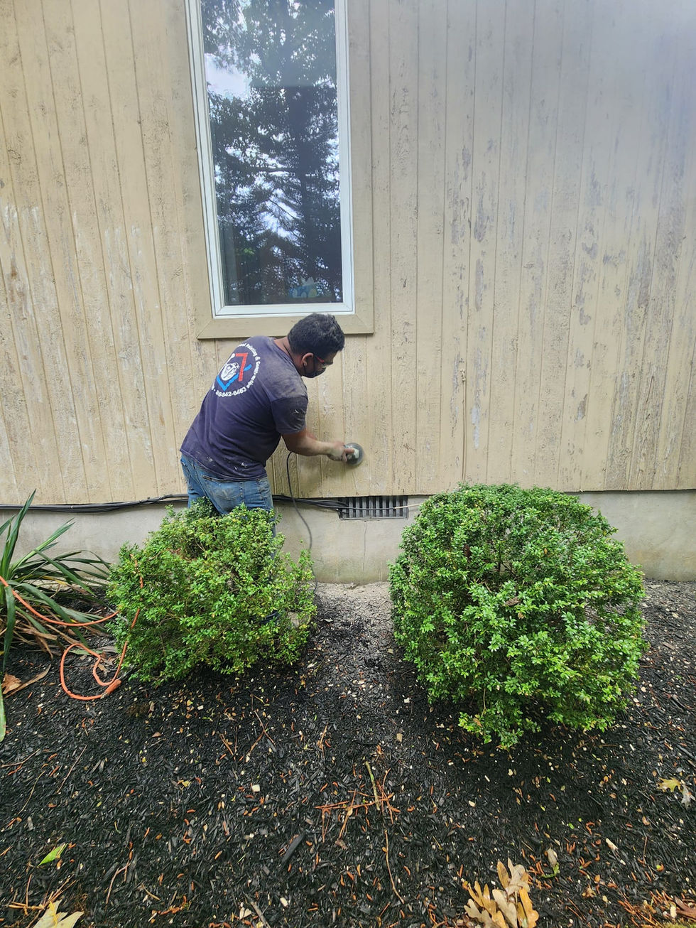 Exterior painting