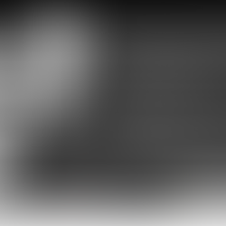 Exponen Sistemas y unidades funcionales a partir de Luria