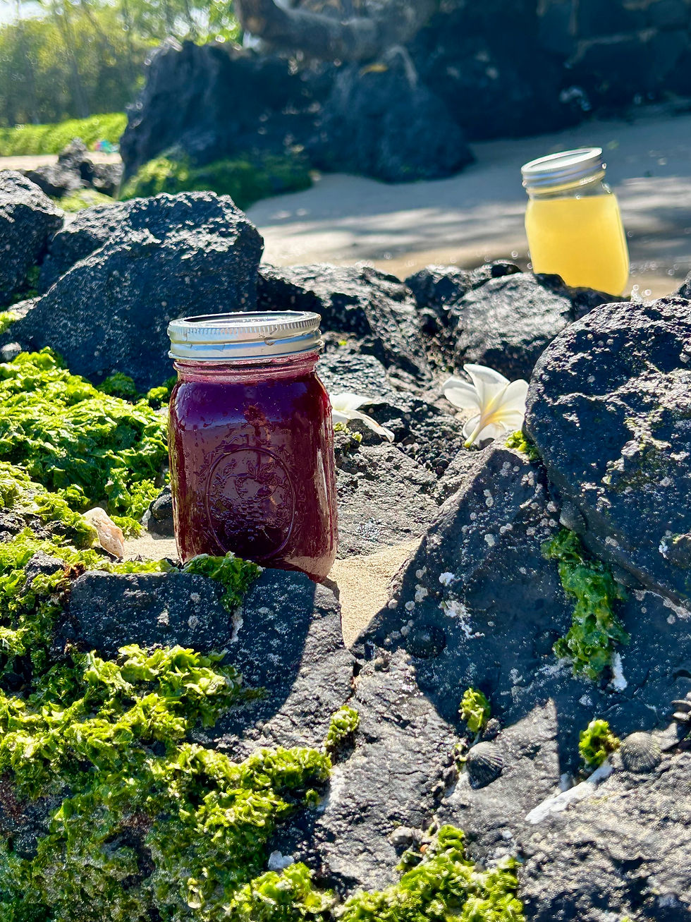 3 day cleanse