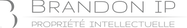 Brandon_edited.png