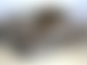 Cleaning House to Build a House