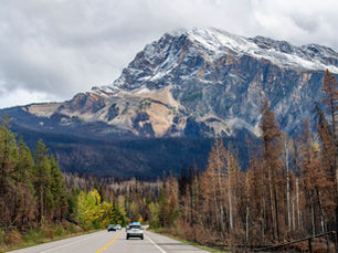 111. Places We Must Return To...