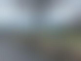 29. Shenandoah NP & New River Gorge NP