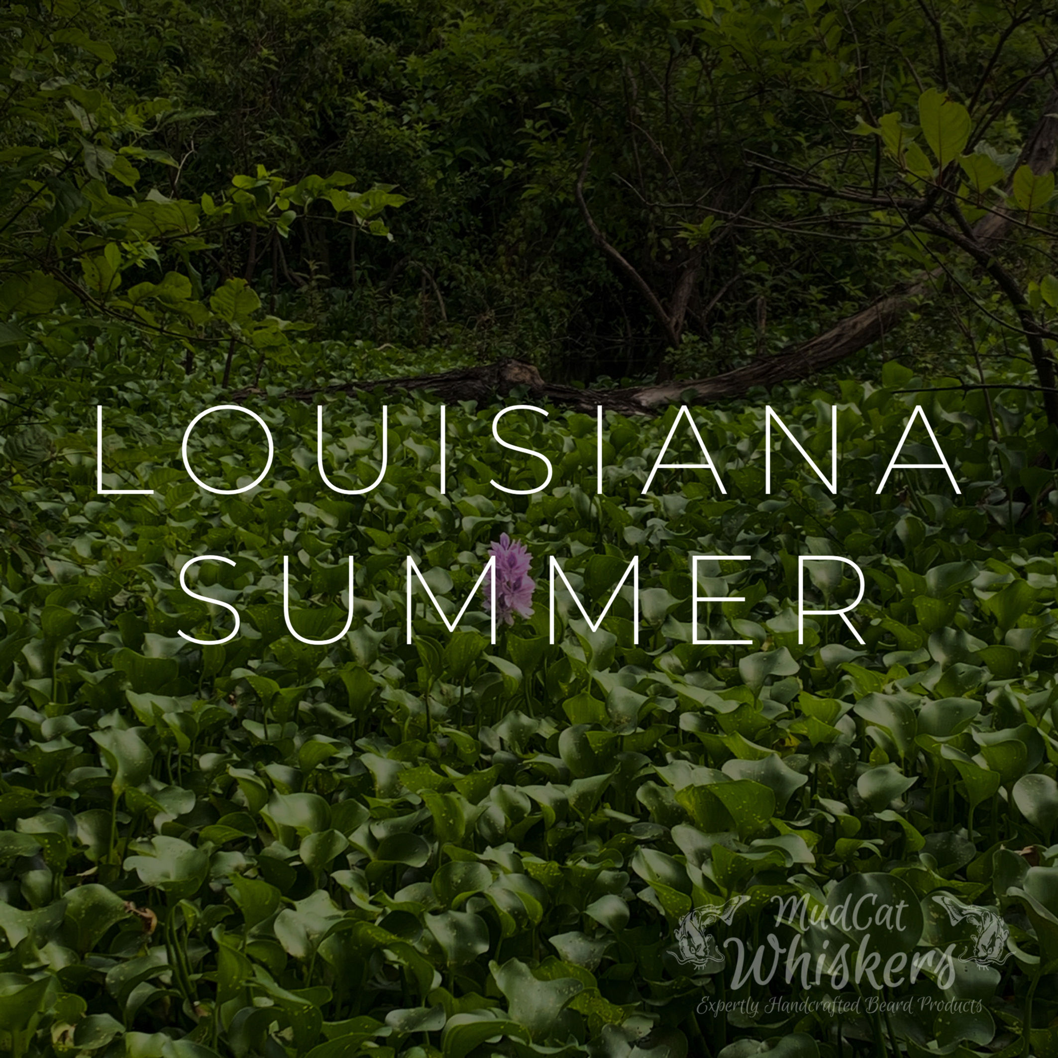 Louisiana Summer