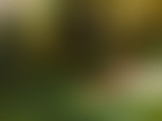 Au revoir Nantes, Bonjour Lyon!