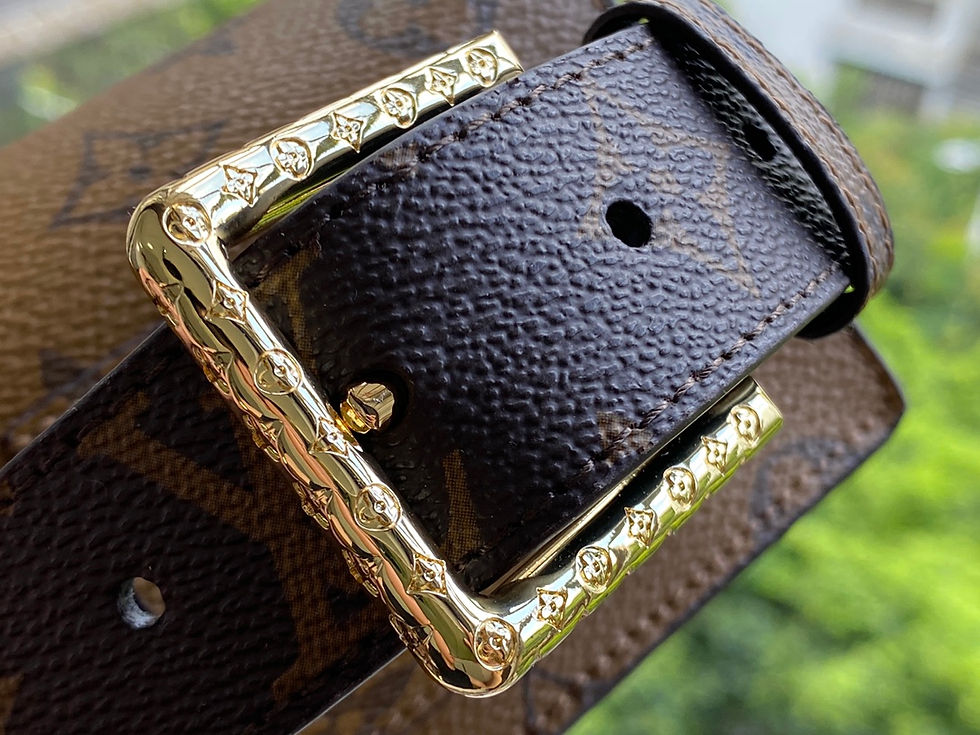 Miniature : CEINTURE DAILY LV