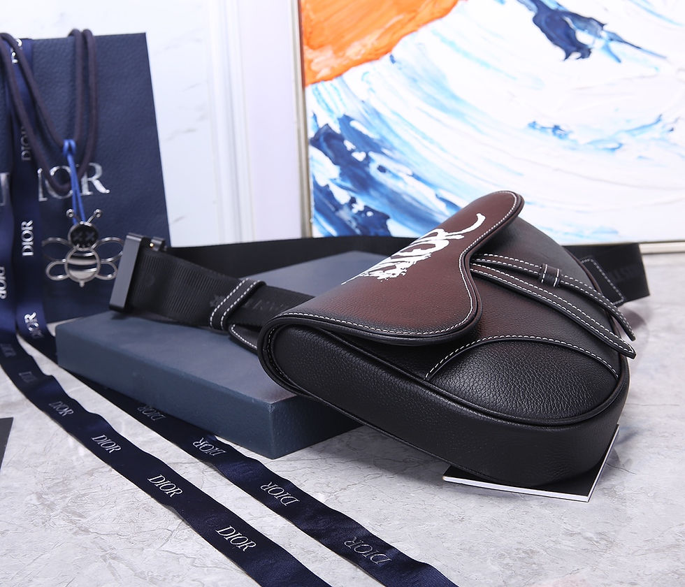 Miniature : SADDLE DIOR