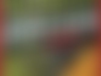 Как поймать Леща