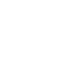 cosmetique_icon.png