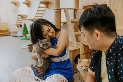 Photoshoot with Kitties.JPG