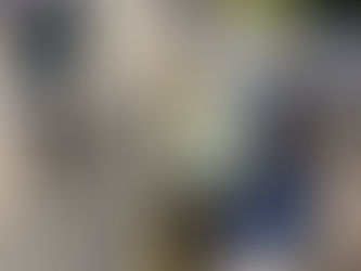 お散歩♫
