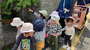 みんなでお散歩♪