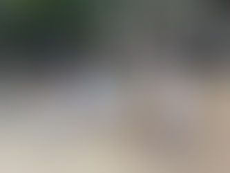 いわせ公園に行きました!