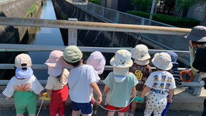 川の生き物たち。