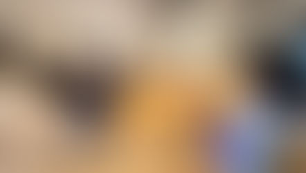 2グループに分かれて活動しました。