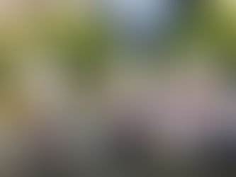 福海公園へ行ったよ