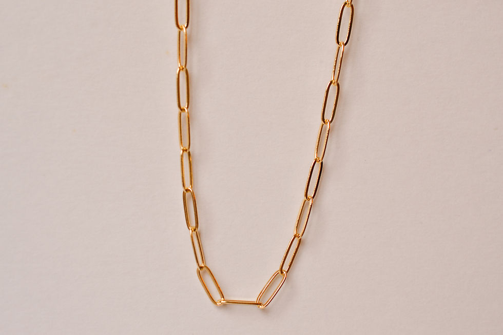 Thumbnail: Large Paperclip Chain