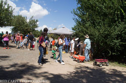 14188296_1179540672087616_5991867716442197258_o