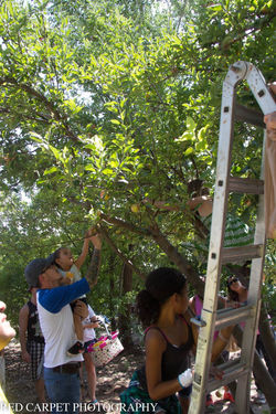 14206205_1179541102087573_5092777547964947875_o