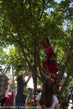 14195216_1179542535420763_79445516384570403_o