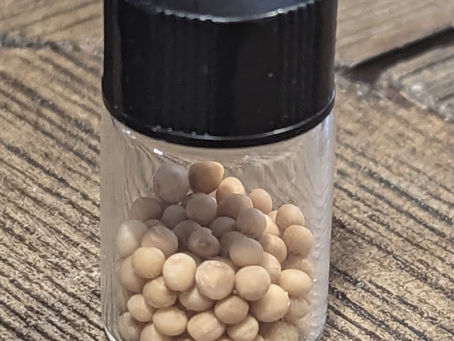 Mustard Seed Faith...