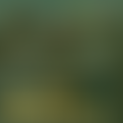 Helping South Asian youth in Calgary