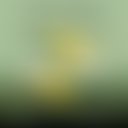 The Mental Health Conversation