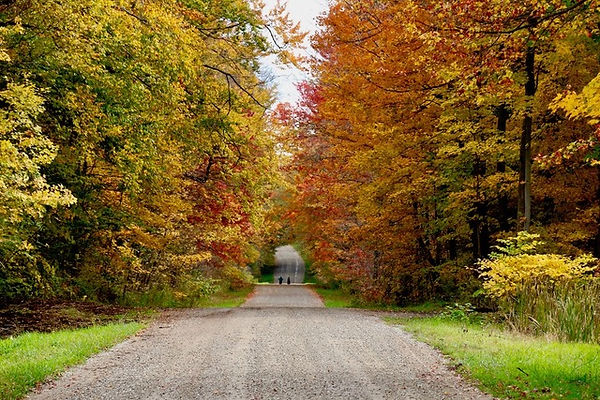 Fall Colours2 R Skevington.jpeg