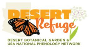 BENA Chapter Meeting via Zoom: When and where are Monarchs in Arizona?