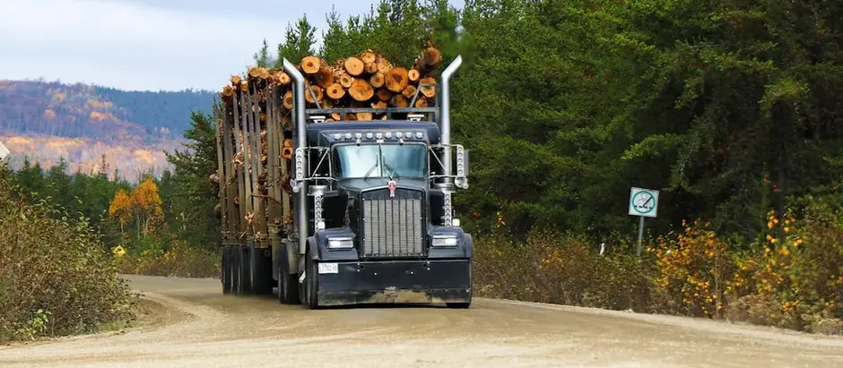 Innus et Atikamekws poursuivent Québec