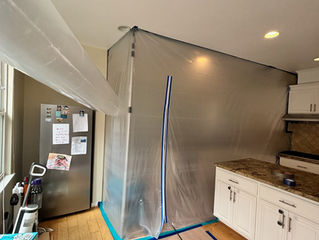Kitchen Mold Remediation
