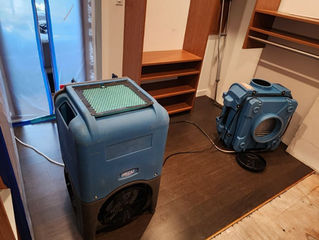 Mold remediation in San Francisco