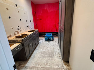 Professional Mold Remediation & Drying Project