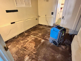 Comprehensive Water and Mold Remediation Project