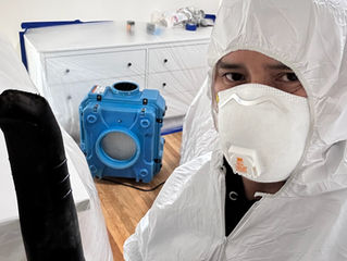 Mold Remediation in Progress