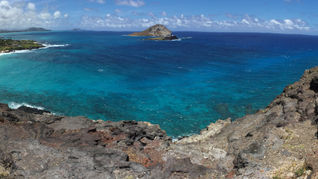 Paradise