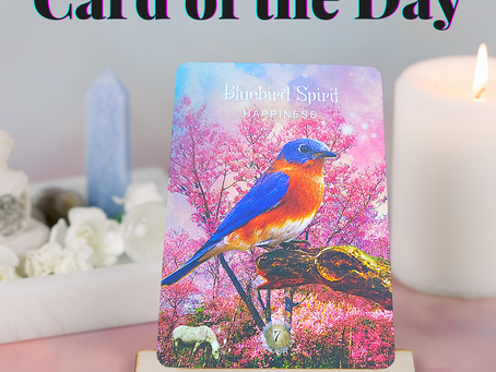Card of the Day- January 30, 2022