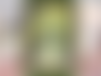 Card of the Day- October 24, 2023- Oracle and Spirit Message