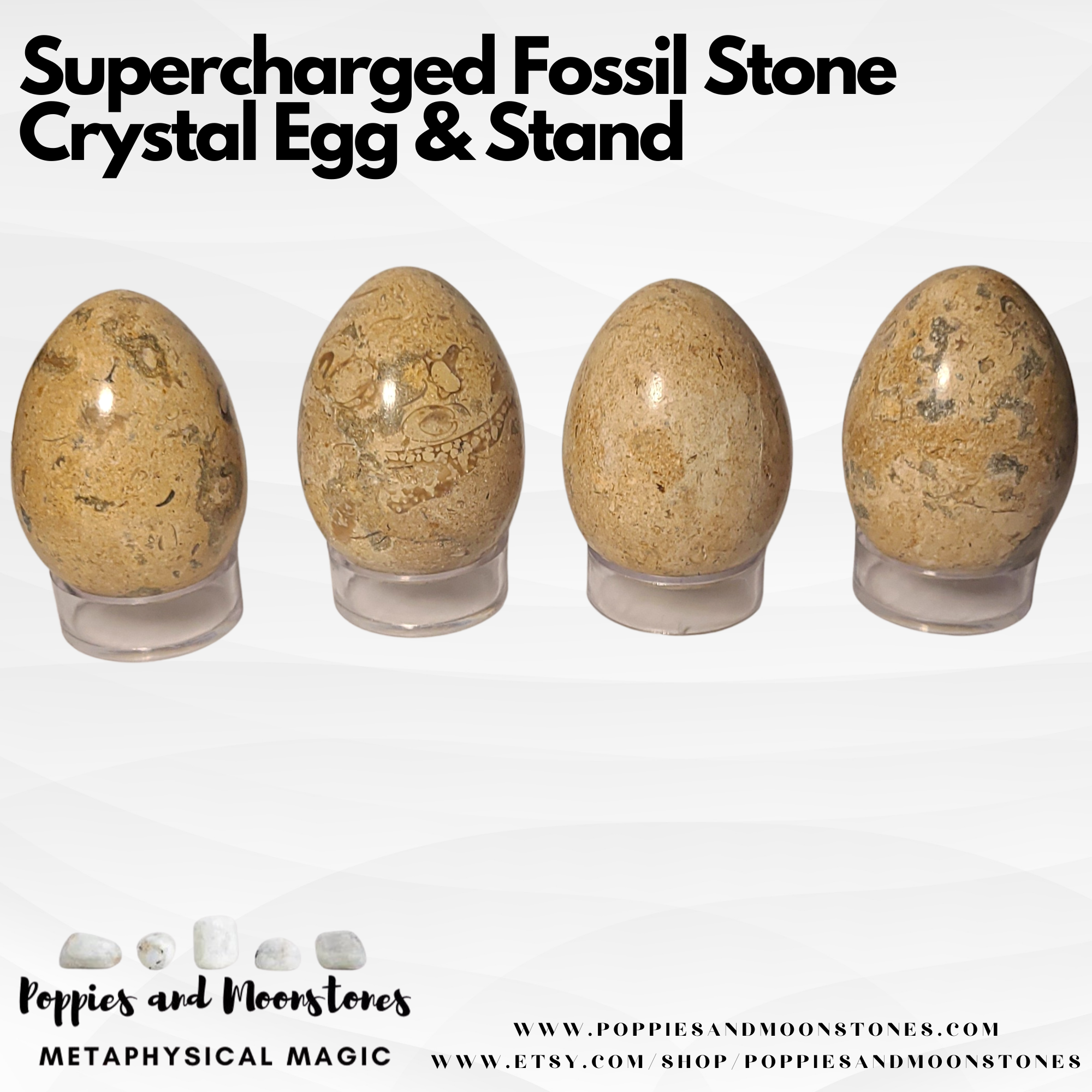 Supercharged Fossil Stone Crystal Egg & Stand