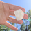 Thumbnail: Apophyllite Rare Crystal Cluster Specimen Hexagon Face Supercharged Reiki Infuse