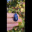 Thumbnail: Sodalite Crystal Sterling Silver Ring Size 7- Reiki Infused
