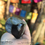 Thumbnail: Rare Purple Labradorite Flashy Freeform Boulder Crystal- Reiki Infused