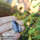 Thumbnail: Chevron Dream Amethyst Crystal Sterling Silver Ring Size 8.5- Reiki Infused