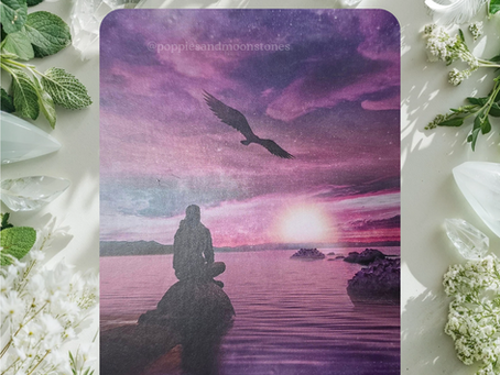 Card of the Day- April 1, 2026