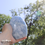 Thumbnail: Celestite Crystal Gemmy Freeform Boulder with Rainbows Supercharged Reiki Infuse